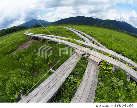 夏の尾瀬ヶ原 33604634