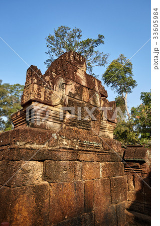 社員 シェムリアップ 植物 33605984