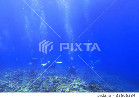 宮古島の海中を泳ぐダイバー 33606334