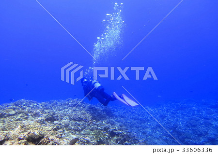 宮古島の海中を泳ぐダイバー 33606336