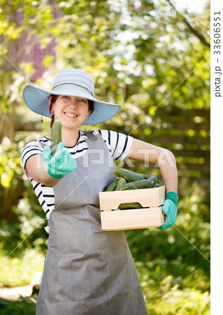 Brunette agronomist in with cucumbers box Brunette agronomist in with cucumbers box 33606551