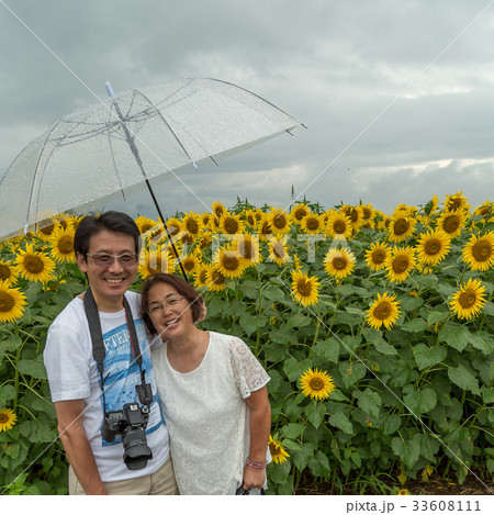 ひまわり畑で記念写真 33608111