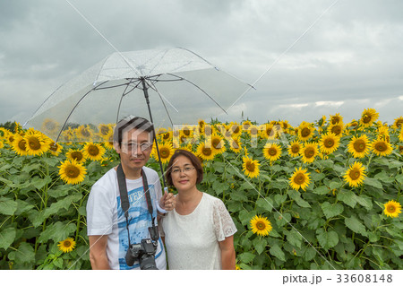 ひまわり畑で記念写真 33608148