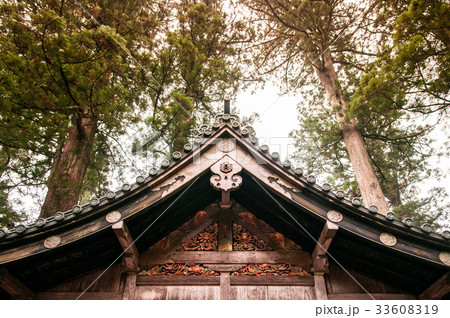 Nikko Toshogu Shrine, Tochigi, Japan 33608319