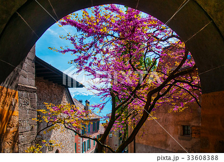 Old Village in Lavaux, near Montreux, Switzerland 33608388