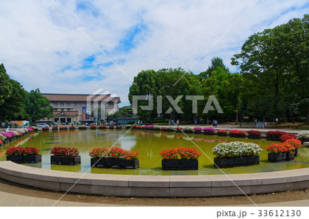 上野公園の噴水広場のカラフルな花壇・吊舟草と青空 33612130