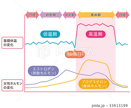 基礎体温表 基礎体温 女性ホルモン 基礎体温表 基礎体温 女性ホルモン 33613199
