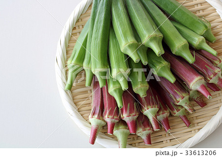 フレッシュな2色のオクラ 33613206