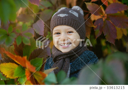 Cute little boy having fun on beautiful autumn day 33613215