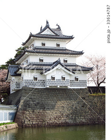 新発田城の春 33614787