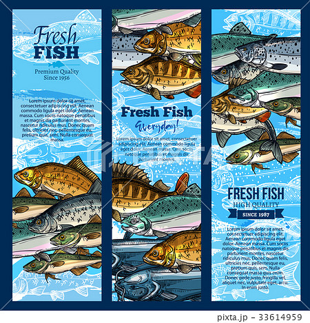 Vector banners of fish catch for sea food maket 33614959