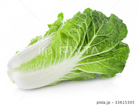 fresh chinese cabbage on a white background 33615305