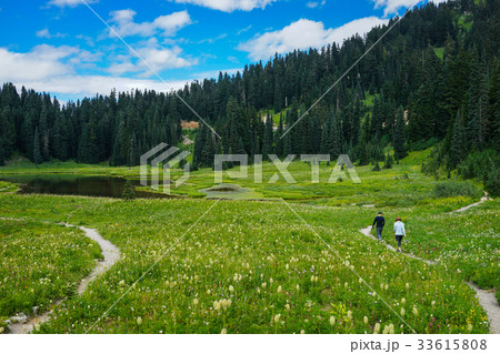Mountain with Blue Sky and Green Grass and Lake 33615808