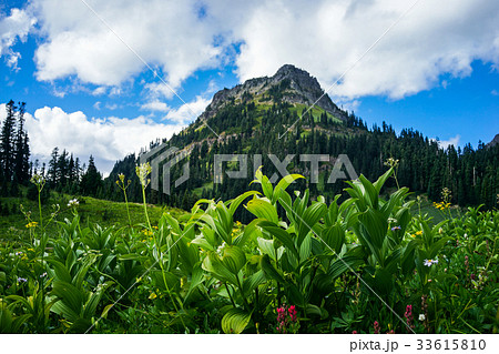 Mountain with Blue Sky and Green Grass and Lake 33615810