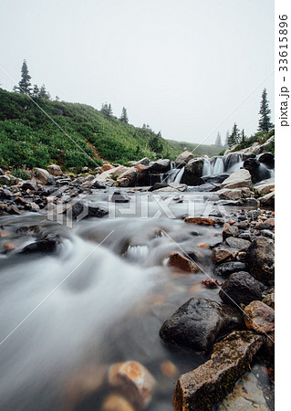 Foggy Myrtle Falls Creek 33615896