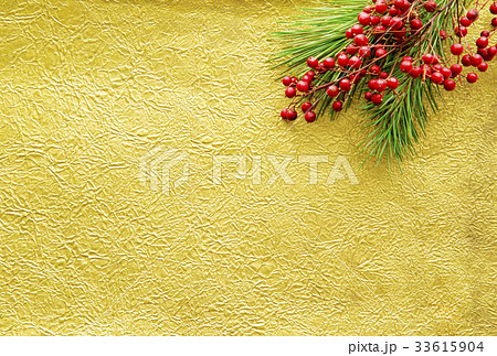 南天と松 南天と松 33615904