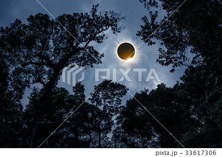 Scientific natural phenomenon. Total solar eclips 33617306