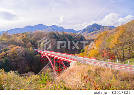 山梨県、東沢大橋の紅葉 33617825