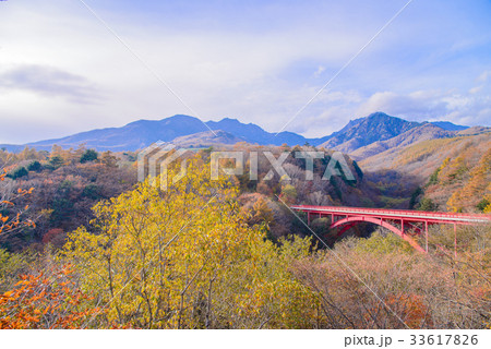 山梨県、東沢大橋の紅葉 33617826