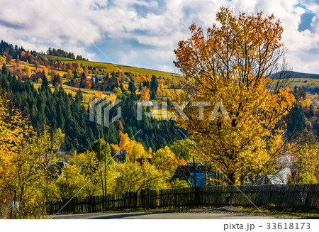 fence and tree by the road in village 33618173