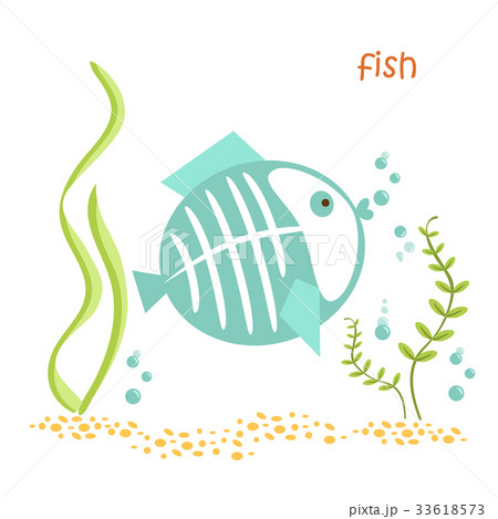 animals set - fish 33618573