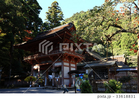 日吉大社の紅葉 日吉大社の紅葉 33618831