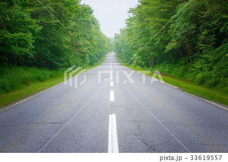 高原の道路、軽井沢。 高原の道路、軽井沢。 33619557