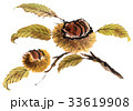 栗-墨絵彩色-枝葉あり 栗-墨絵彩色-枝葉あり 33619908