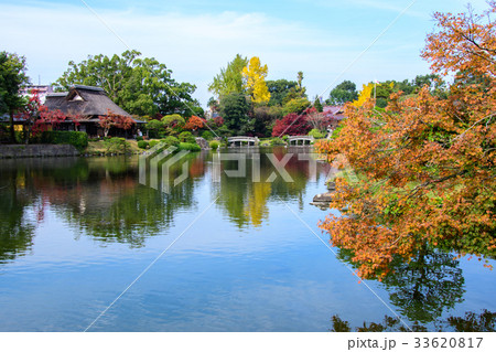 水前寺成趣園の紅葉 水前寺成趣園の紅葉 33620817