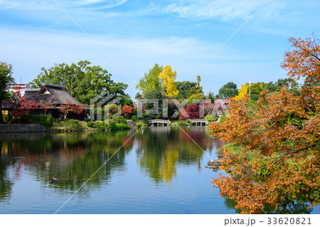 水前寺成趣園の紅葉 水前寺成趣園の紅葉 33620821