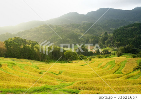 棚田 大山千枚田 棚田 大山千枚田 33621657