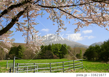 春の町営牧場(猪苗代町) 春の町営牧場(猪苗代町) 33621677