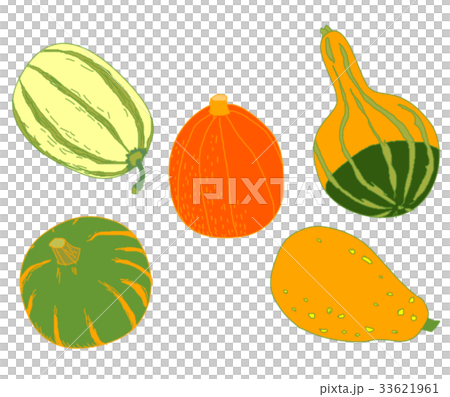 おもちゃカボチャ 33621961