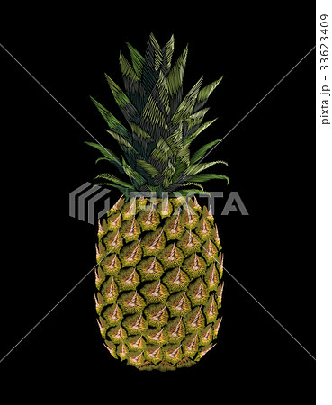 Embroidered yellow pineapple fruit. Fashion print Embroidered yellow pineapple fruit. Fashion print 33623409