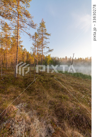 Small forest lake at sunrise Small forest lake at sunrise 33630278