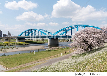 多摩川にかかる丸子橋と桜 33632226