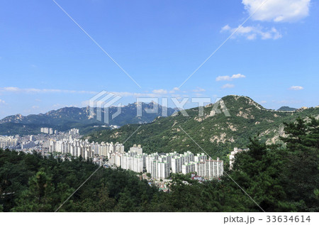 北朝鮮産 仁王山 西大門区 33634614