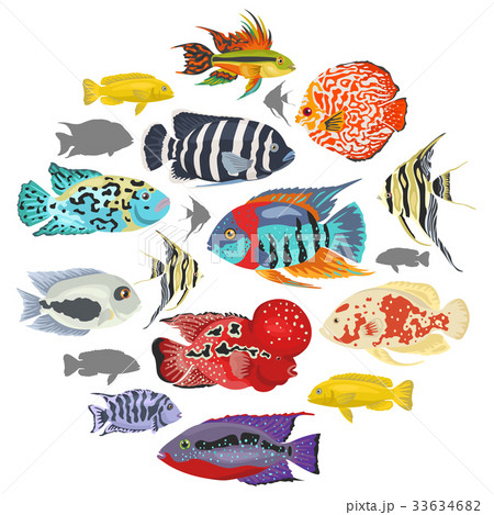 Freshwater aquarium fishes cichlid icon set  33634682