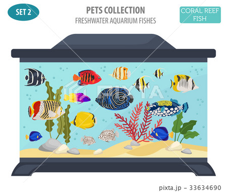 Freshwater aquarium coral  fish icon set  33634690