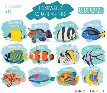 Freshwater aquarium coral  fish icon set  33634691