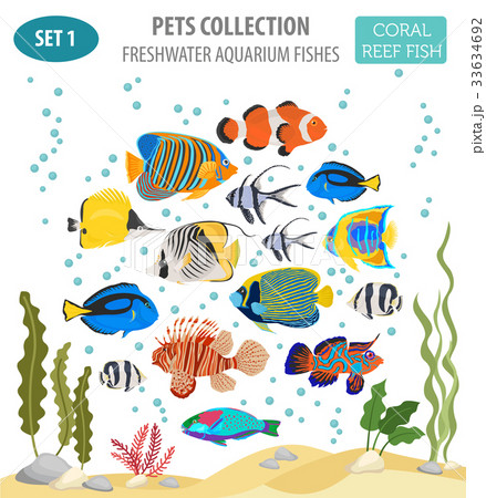 Freshwater aquarium coral  fish icon set  33634692
