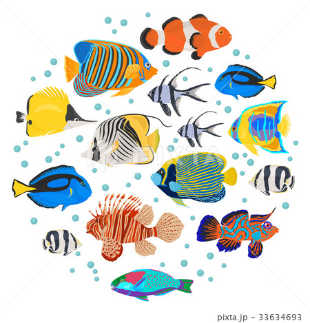 Freshwater aquarium coral fish icon set Freshwater aquarium coral fish icon set 33634693
