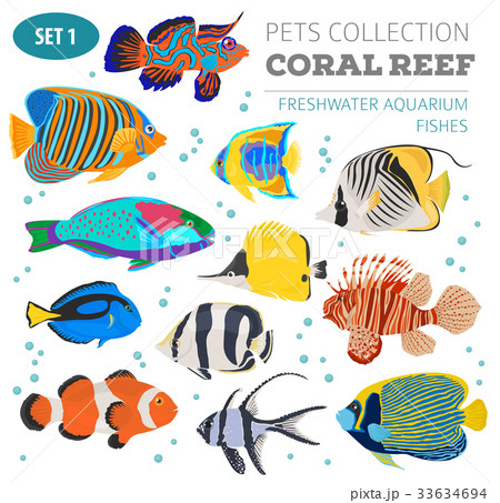 Freshwater aquarium coral fish icon set Freshwater aquarium coral fish icon set 33634694