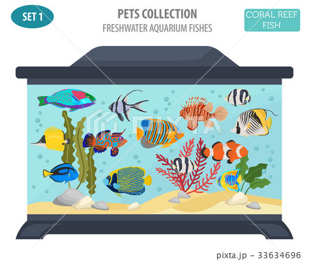 Freshwater aquarium coral  fish icon set  33634696