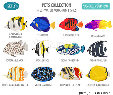 Freshwater aquarium coral fish icon set Freshwater aquarium coral fish icon set 33634697