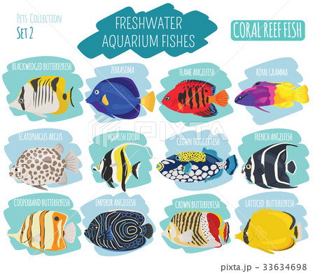 Freshwater aquarium coral fish icon set Freshwater aquarium coral fish icon set 33634698