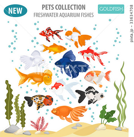 Freshwater aquarium gold fish icon set  33634708