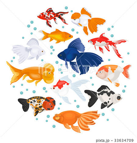 goldfish, fish, fish tank, aquarium, fish, aquarium, fish tank, aquarium,.  AI-Generated 31256245 Stock Photo at Vecteezy