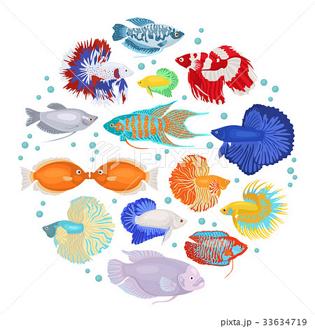 Freshwater Aquarium Labyrinth Fish Icon Set のイラスト素材