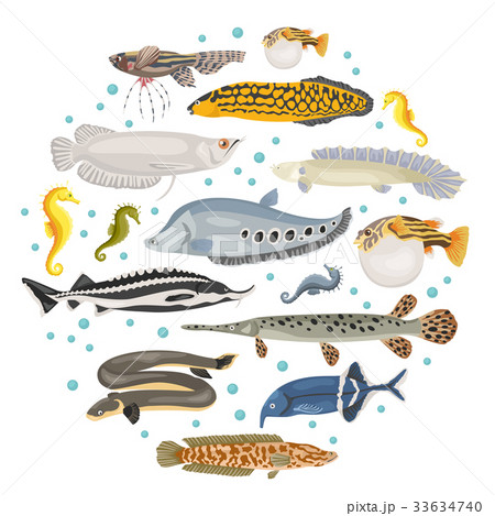 Freshwater aquarium unusual fish icon set Freshwater aquarium unusual fish icon set 33634740